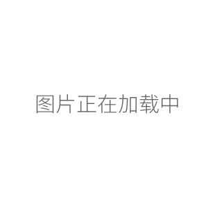 BSA224S-CW電子天平分析天平220g/0.1mg